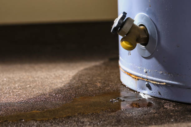 Best Water damage cleanup near me  in Waurika, OK