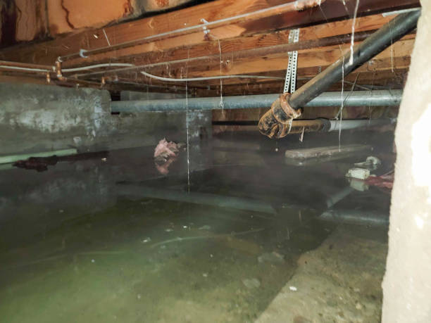 Best Water damage mitigation services  in Waurika, OK