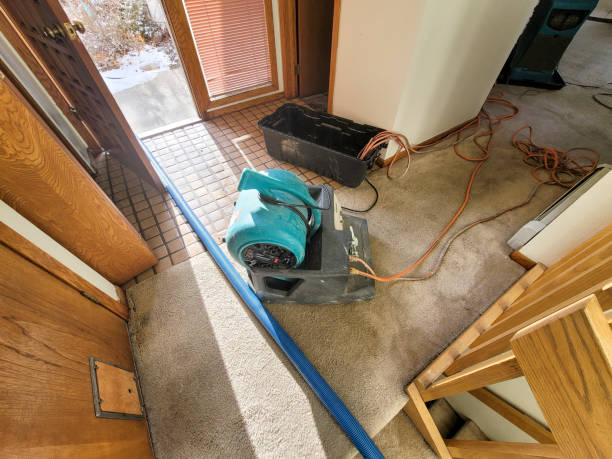 Best Emergency water damage restoration  in Waurika, OK