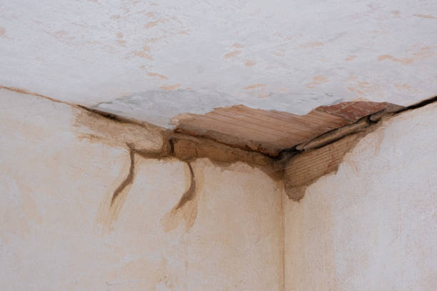 Best Flood damage cleanup  in Waurika, OK