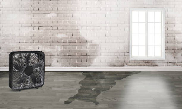 Best Residential water damage restoration  in Waurika, OK
